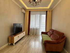 Almaty city apartments
